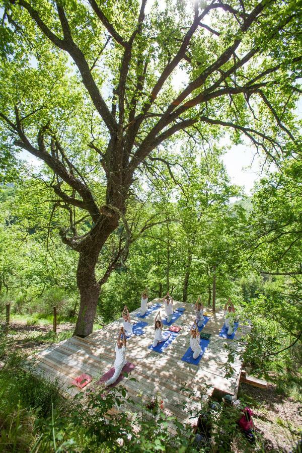 Italyfarmstay Pescosolido Екстер'єр фото
